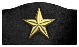 DASHELL-430-GD-BK Star Gold-Black